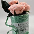 Рафия